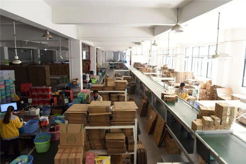 臨安工廠備戰(zhàn)雙十一 生產不停、分倉不歇的緊張有序圖景