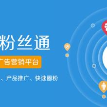 上海火速網絡科技股份 數(shù)據(jù)科技領域的技術服務先鋒